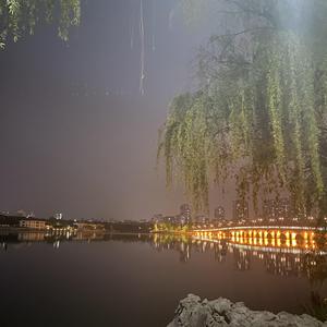 The Southern City in Late Spring