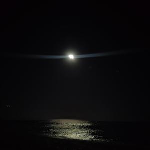Midnight