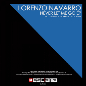 Never Let Me Go (Original Mix)