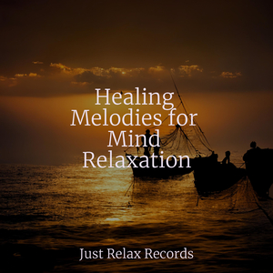 Silken Tide's Embrace