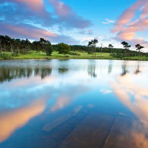夏日午后的浪漫邂逅