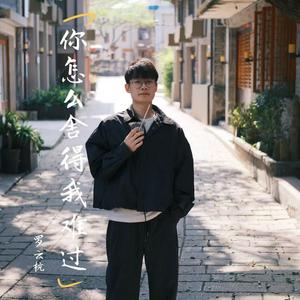 你怎么舍得我难过
