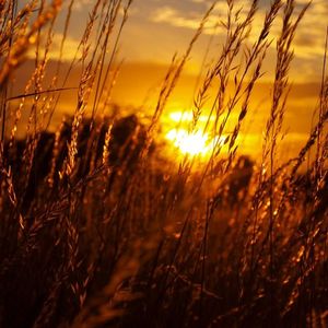 别听悲伤的歌-格雷西西