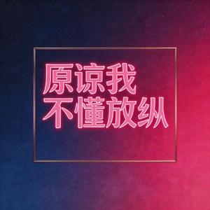 原谅我不懂放纵