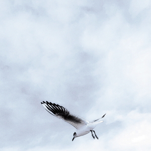 我只是经过（Cover 陈鸿宇）