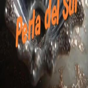 Perla del Sur