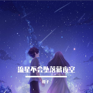 流星不会坠落藏夜空