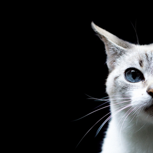 Lordamercy (Danny Breaks Remix)