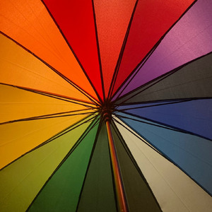 夜の風に願いを