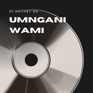 Umngani Wami (Babes wodumo Remix)