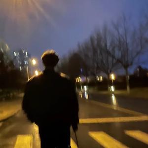 城市的脉搏 (City Pulse)