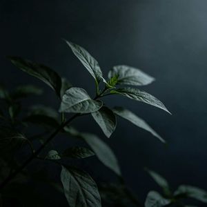 贺贺贺贺贺贺贺孟豪