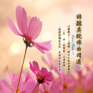 花月怨 (唱颂加长版)