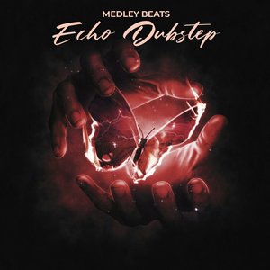Echo Dubstep