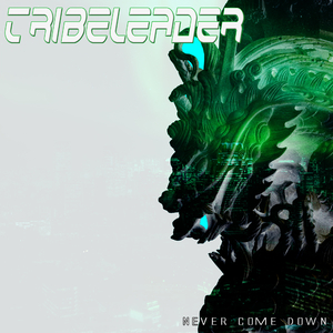 Never Come Down (Master 2 Edit Vox)