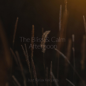 Tranquil Waters Drift