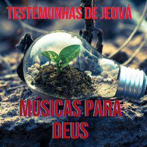 Paz, enfim!