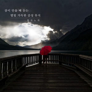 별빛이 쏟아지는 밤에