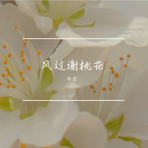 风过谢桃花（翻自 司南）
