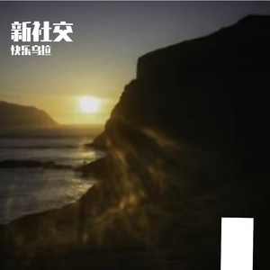 新社交