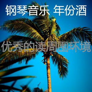 柔和的睡眠时刻