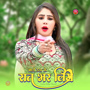 भाड़ी उठा के रात भर लिये