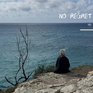 NO REGRET DEMO