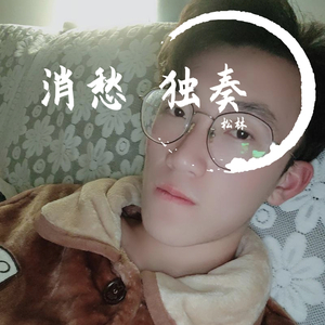 毛不易-消愁独奏（松林 remix）