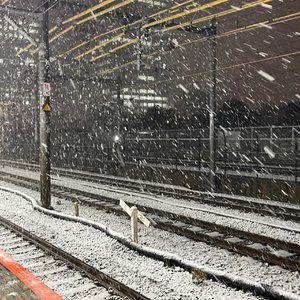 你在雪落时离开