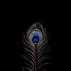 leela (लीला)