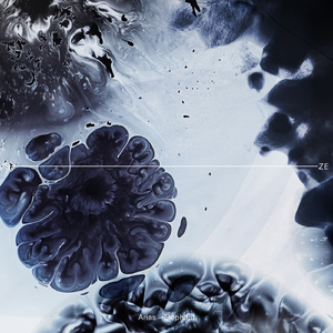 Elephant (Original Mix)