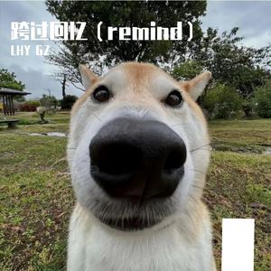 跨过回忆（Remind）