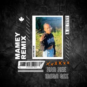 MAMey (feat. Mega Gee) (REMIX)