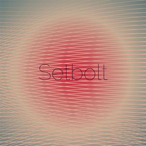 Setbolt