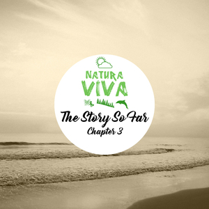 Dinner for Valentine (Marco Lys Remix)