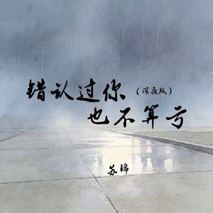 错认过你也不算亏(深夜版)