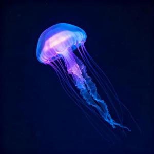 不吵不闹