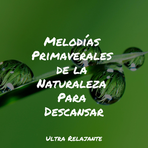 Filosofía