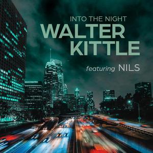 INTO THE NIGHT (feat. NILS)
