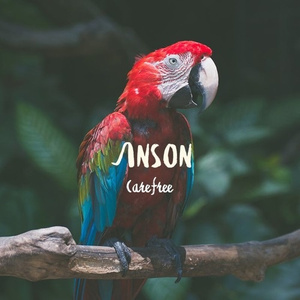 Carefree (Original Mix)