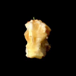 秋天是我们整章关系的生命周期