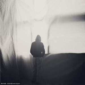 午餐（Cover 晓月老板）