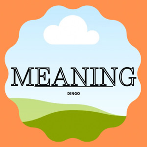 Meaning