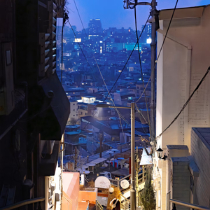 流干的泪结成冰