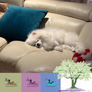 알함브라 궁전의 추억 (Slow Ver.)