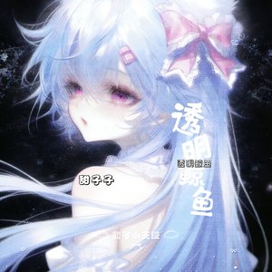 透明鲸鱼