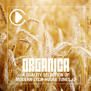 Tea Party Protest (Mendo Remix)