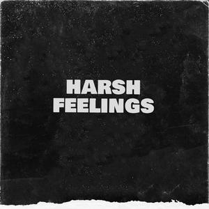 Harsh Feelings 2