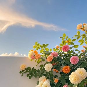 新生枝桠花满墙