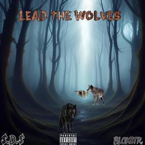 LTW(lead the wolves) (feat. Blckstr)